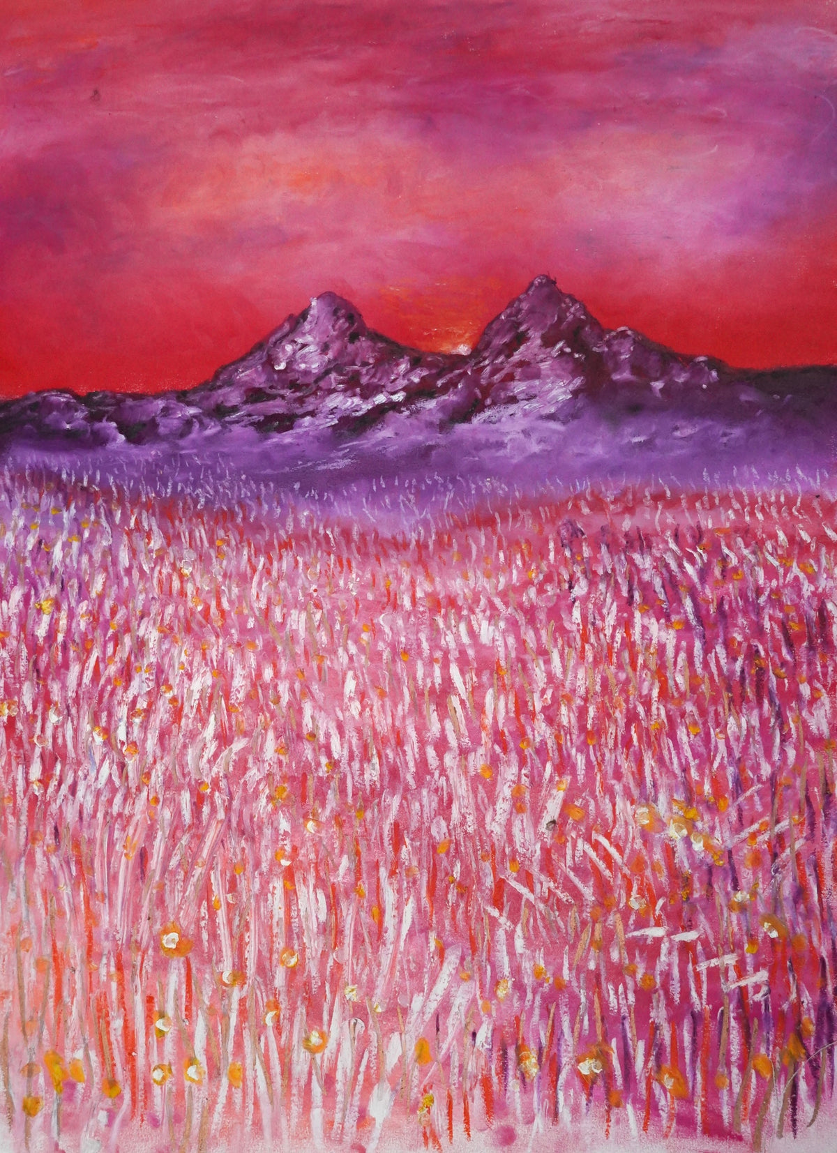 Crimson Field (Landscape Study V) (2026)