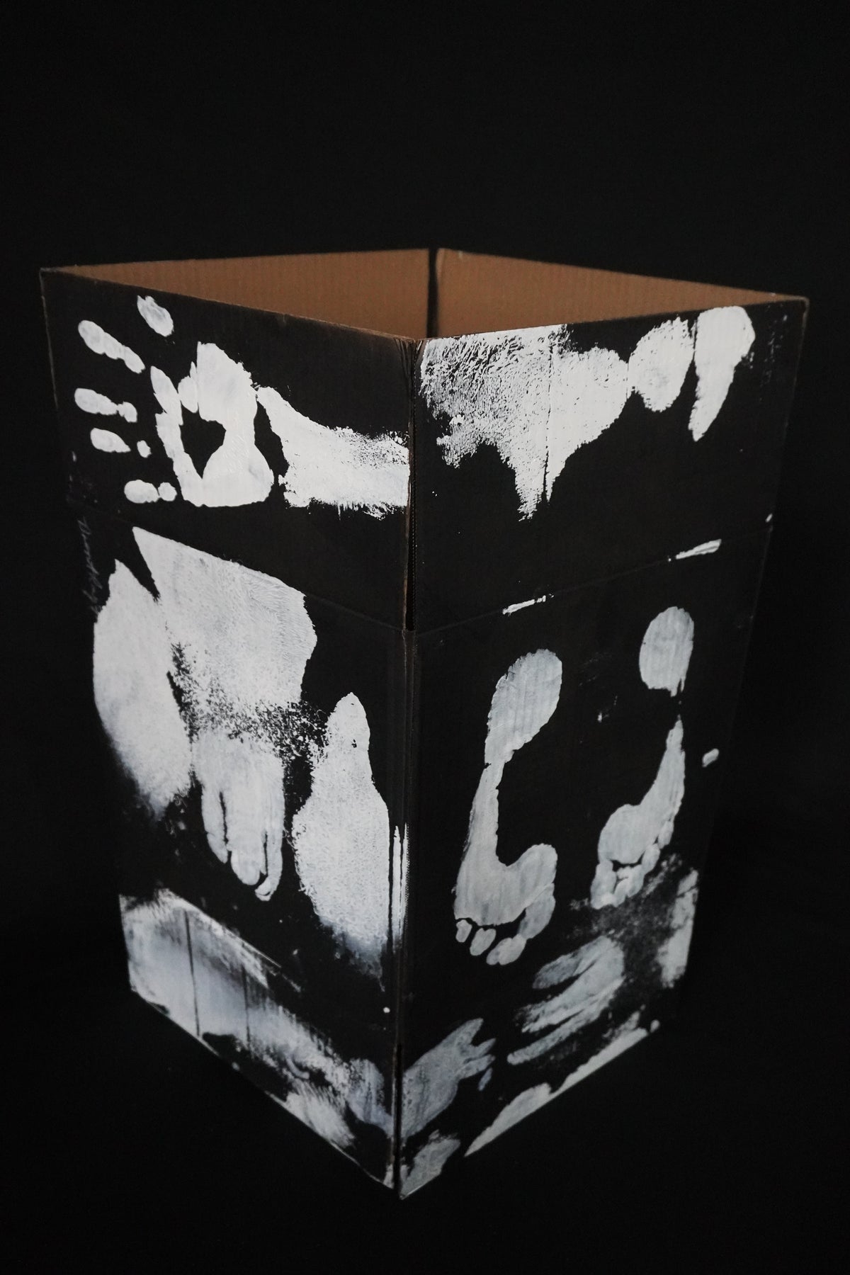 Box Imprint Artifact llI (Object to Image Series) (2024)