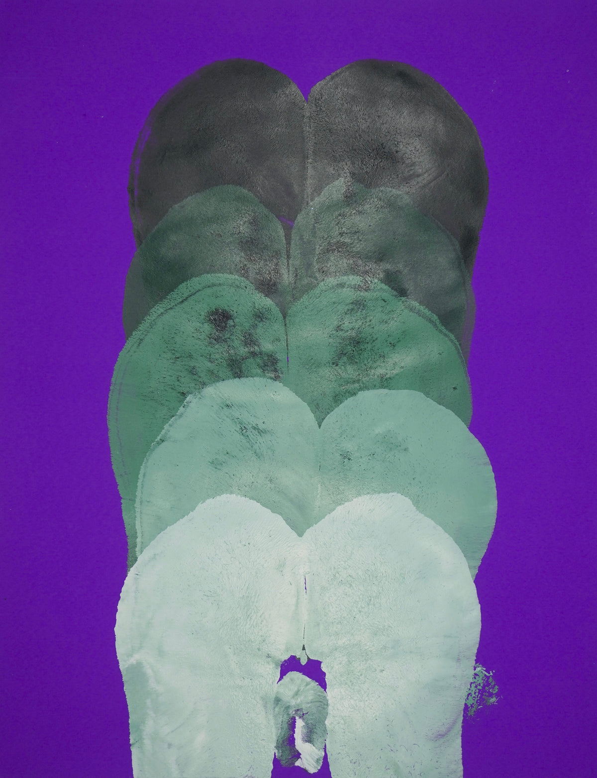 Gluteus Maximus Repetition Study XXXVIII (2024)