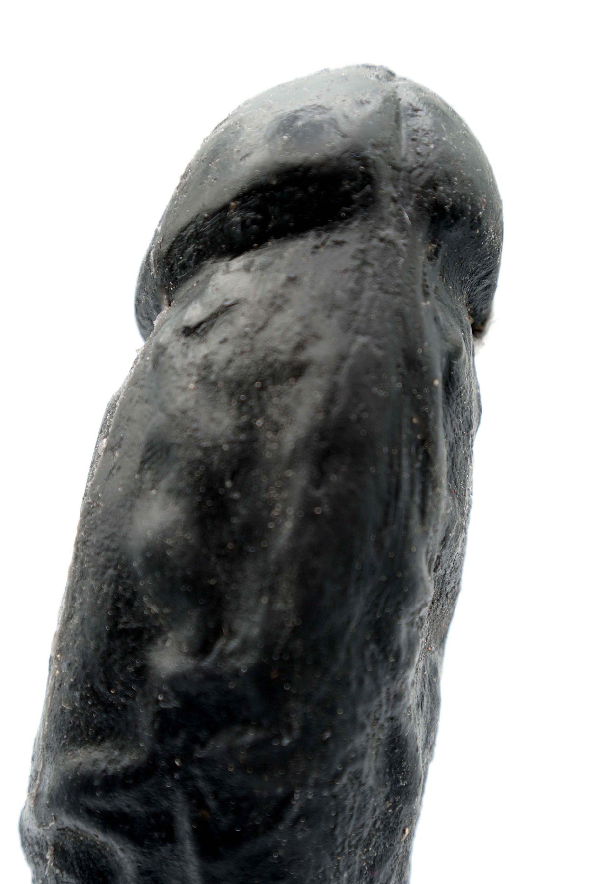 Corpus Cast lll (2026)