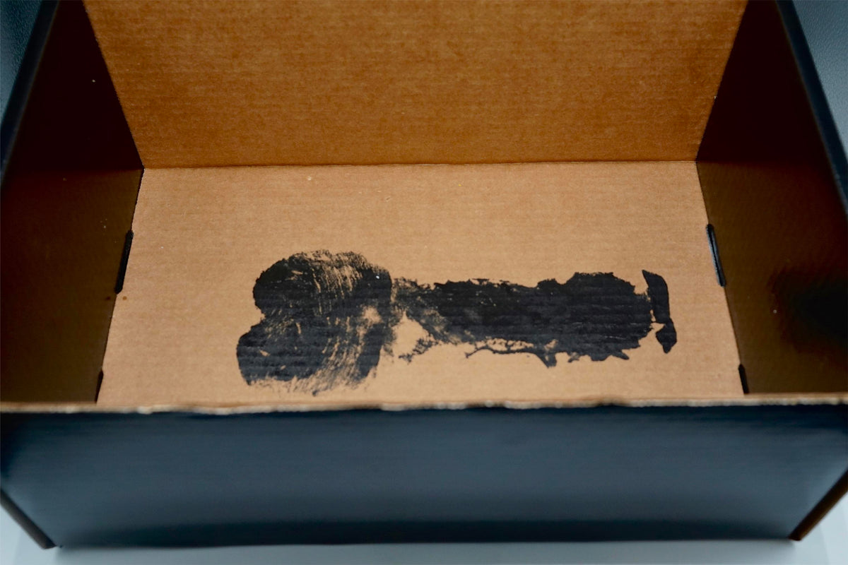 Shock & Awe Surprise Box: The Aficionado