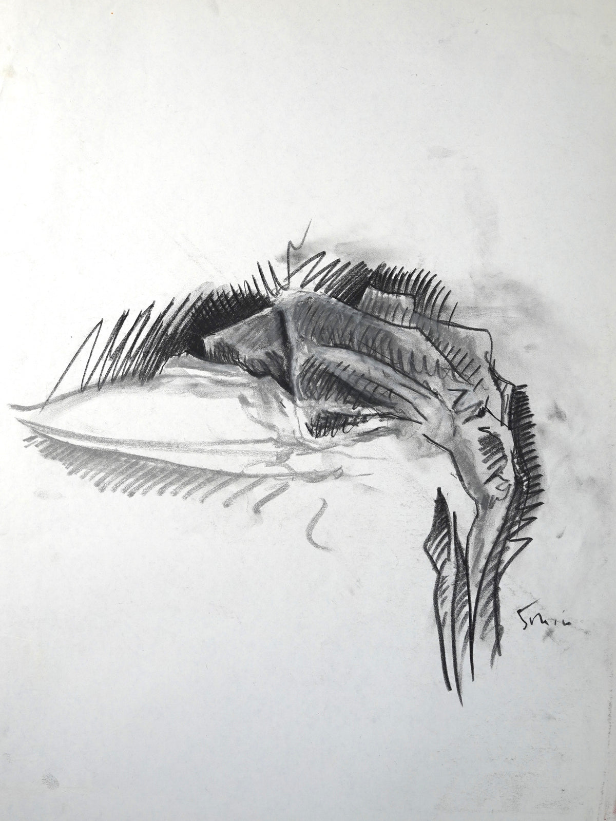 Comforter (2002)