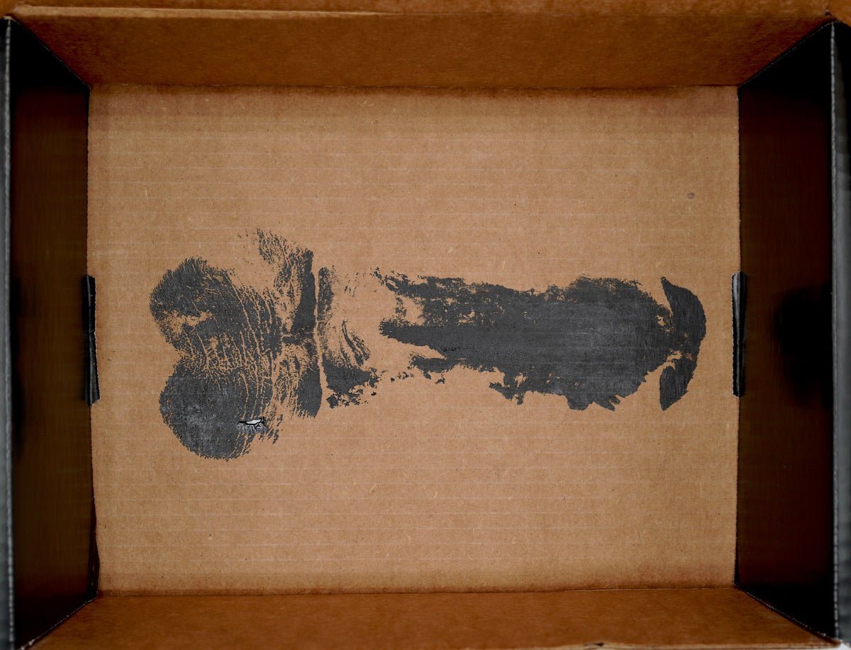 Shock & Awe Surprise Box: The Enthusiast's Edition