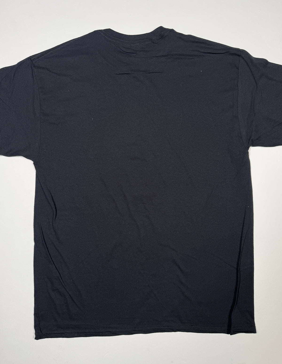 DShirt: Erectus XVlll