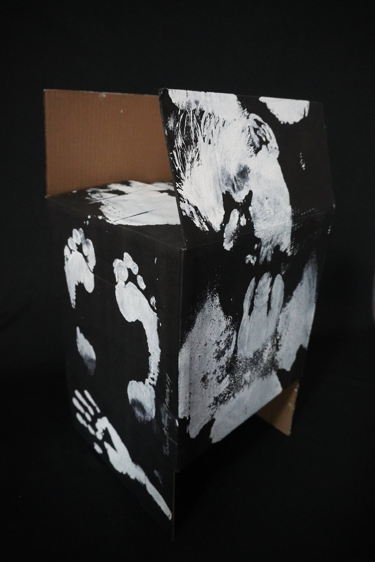 Box Imprint Artifact V (Object to Image Series) (2024)