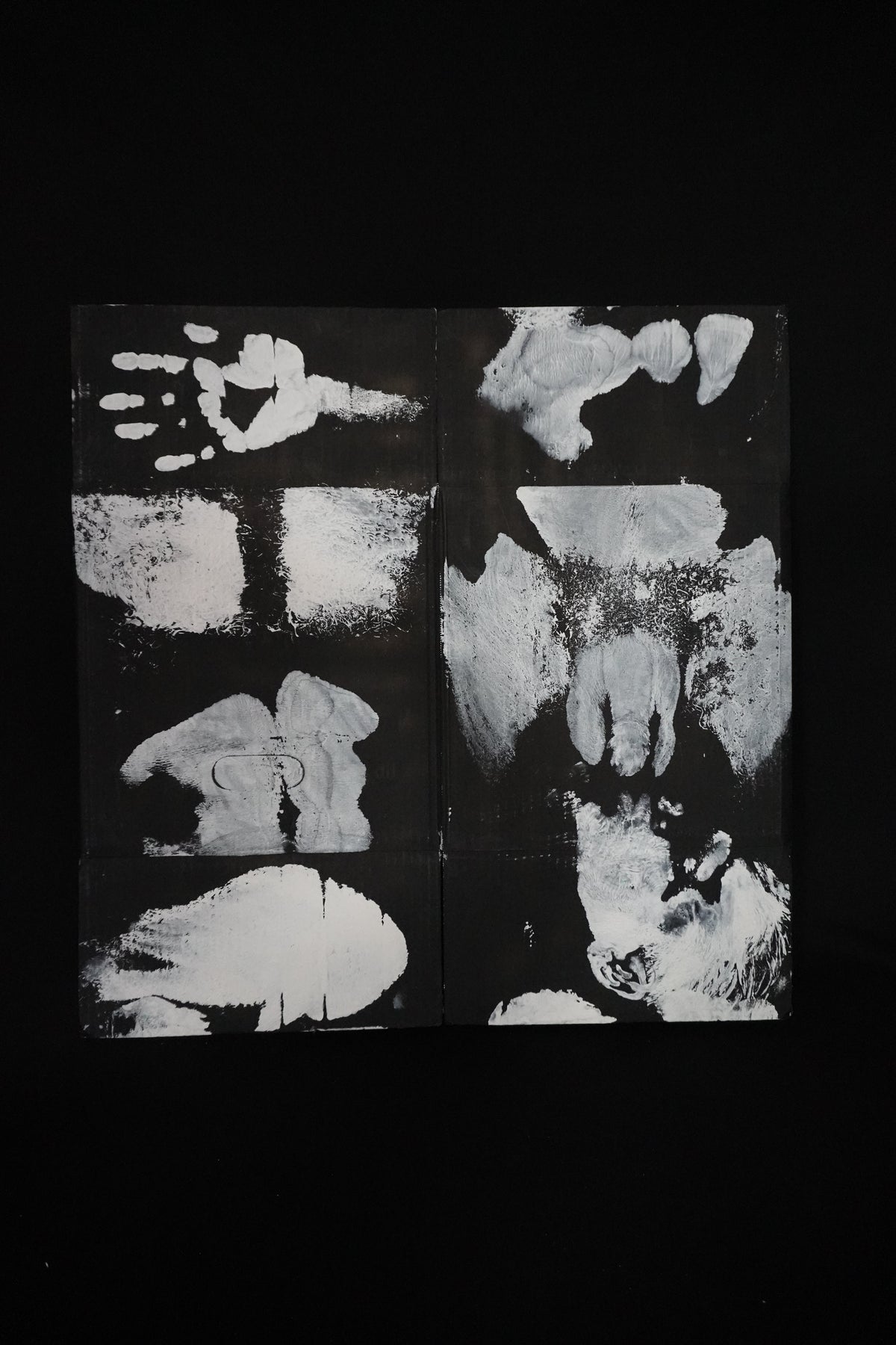 Box Imprint Artifact V (Object to Image Series) (2024)