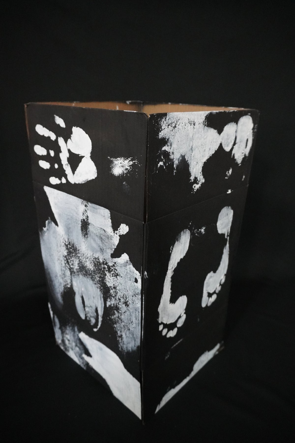 Box Imprint Artifact IV (Object to Image Series) (2024)