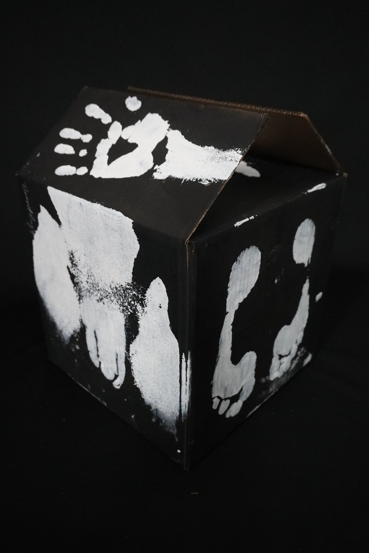 Box Imprint Artifact llI (Object to Image Series) (2024)