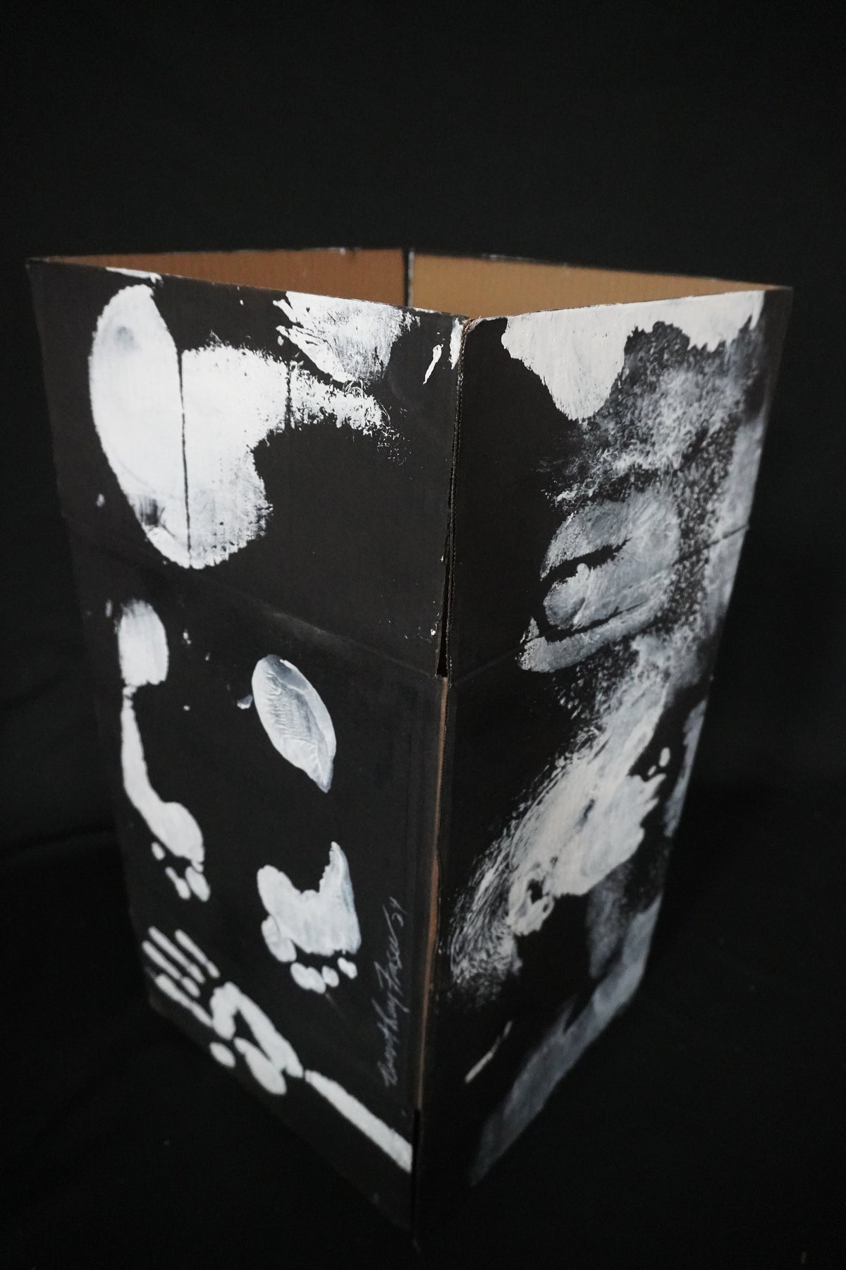 Box Imprint Artifact I (Object to Image Series) (2024)