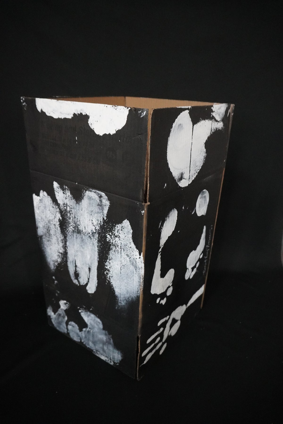 Box Imprint Artifact I (Object to Image Series) (2024)