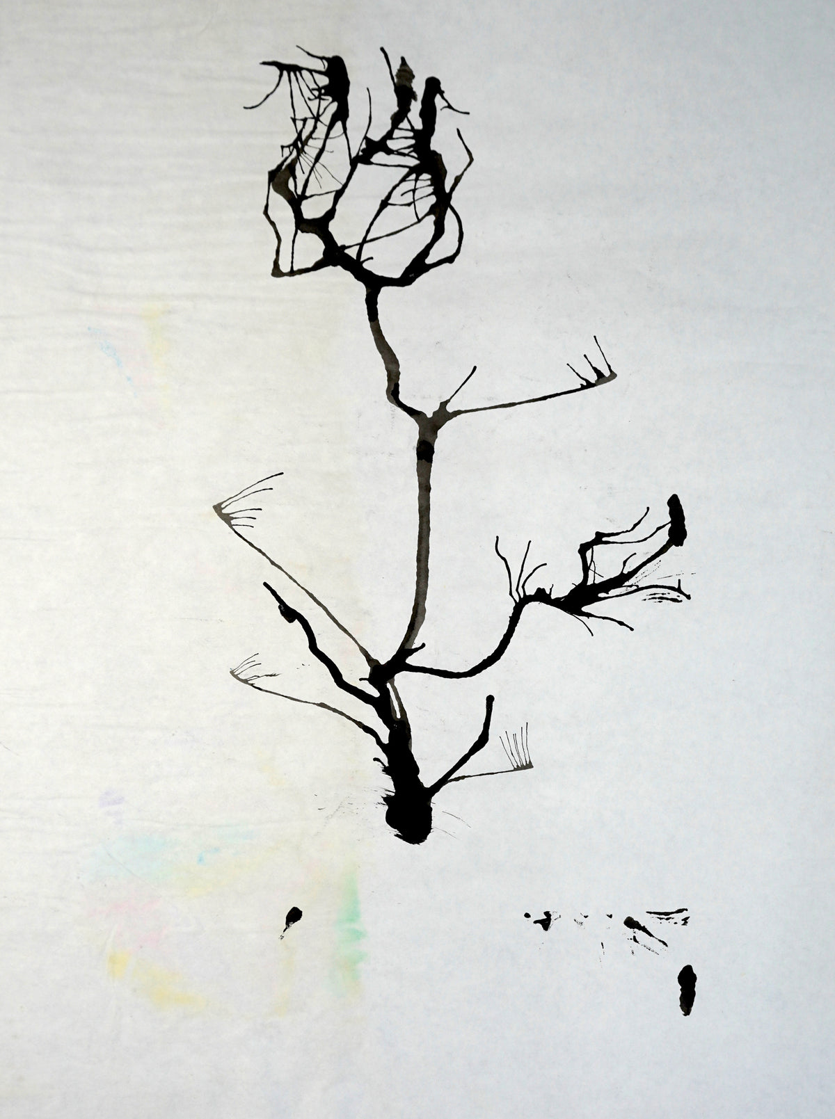 Organic Growth (2003)